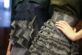 Exotischer Vogel Model Detail