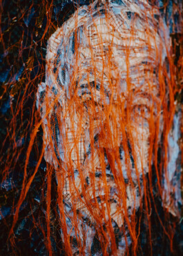 Textilporträts zur Bamberger Textilgeschichte, Portrait Detail 